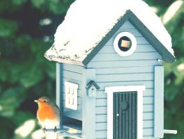 Learn About High Risk Home Insurance