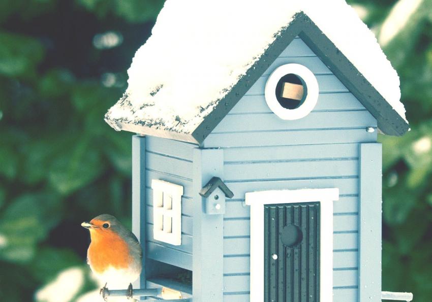 Learn About High Risk Home Insurance